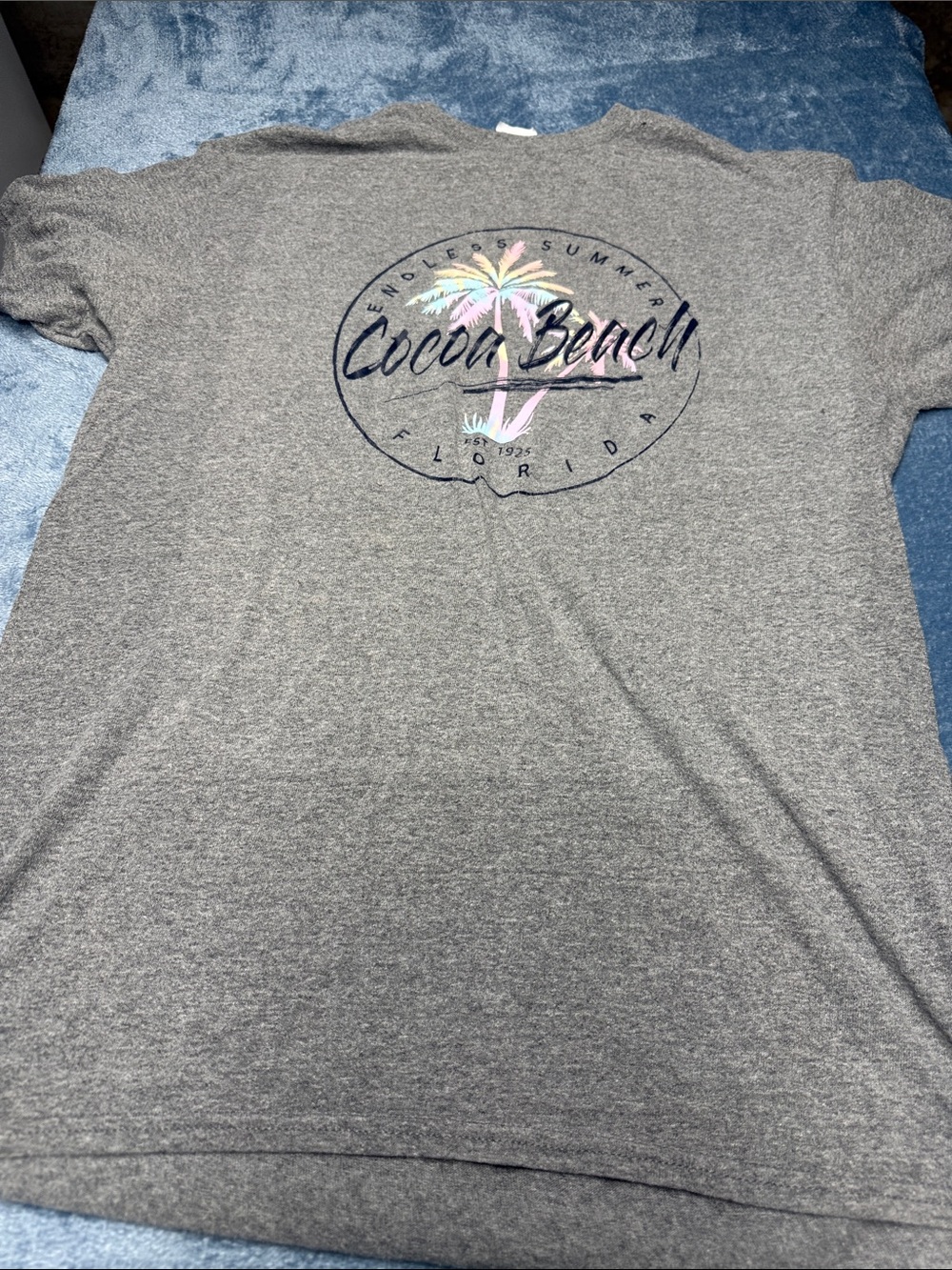 Cocoa Beach Palm Graphic Tee - Gray with Pastel Accent